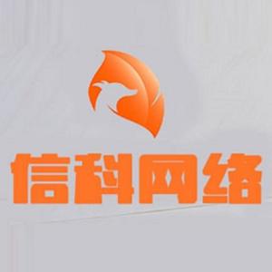 探秘广州信科网络科技 数字化时代的科技先锋