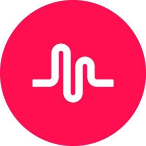 蜜柚网络科技 上海的网络创新力量