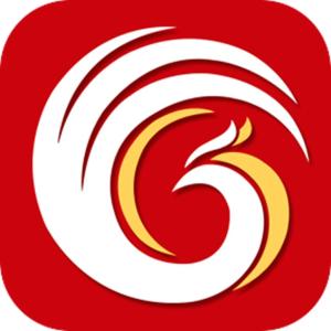 广东凤凰网络科技股份有限公司 技术驱动未来的弄潮儿
